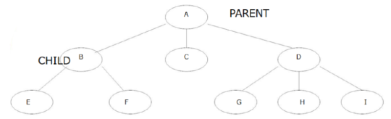 hierarchy