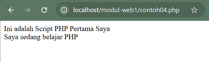 PHP-Script-Result